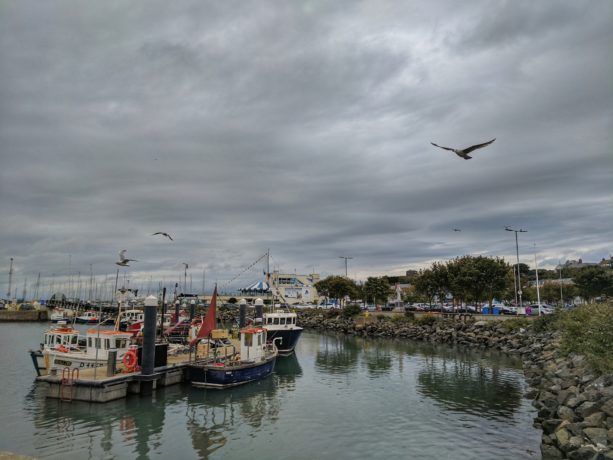 Great tour from Dublin –  Malahide Castle and Howth