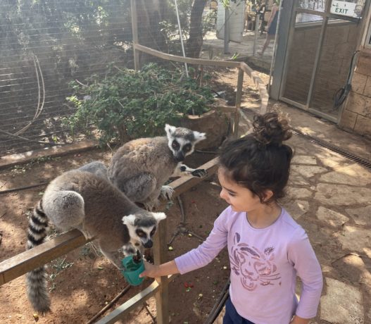 What to do in Paphos with kids – recommendations for attractions for children in Paphos, Cyprus